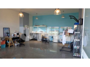 Loja para Venda em Algés, Linda-A-Velha e Cruz Quebrada-Dafundo