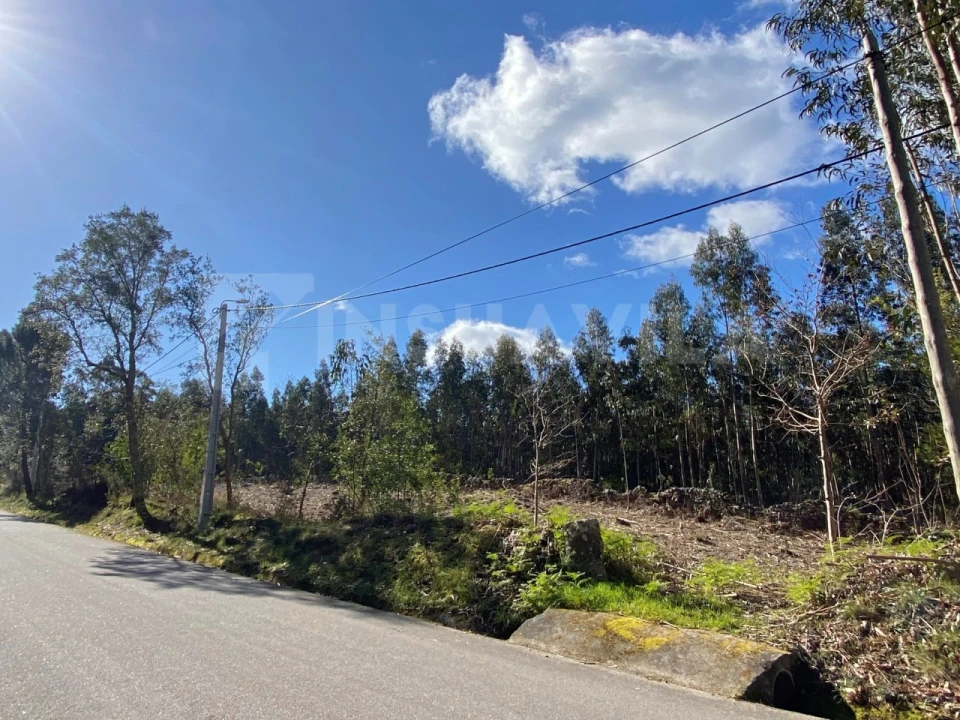 Terreno para Venda em Moledo e Cristelo Foto 2