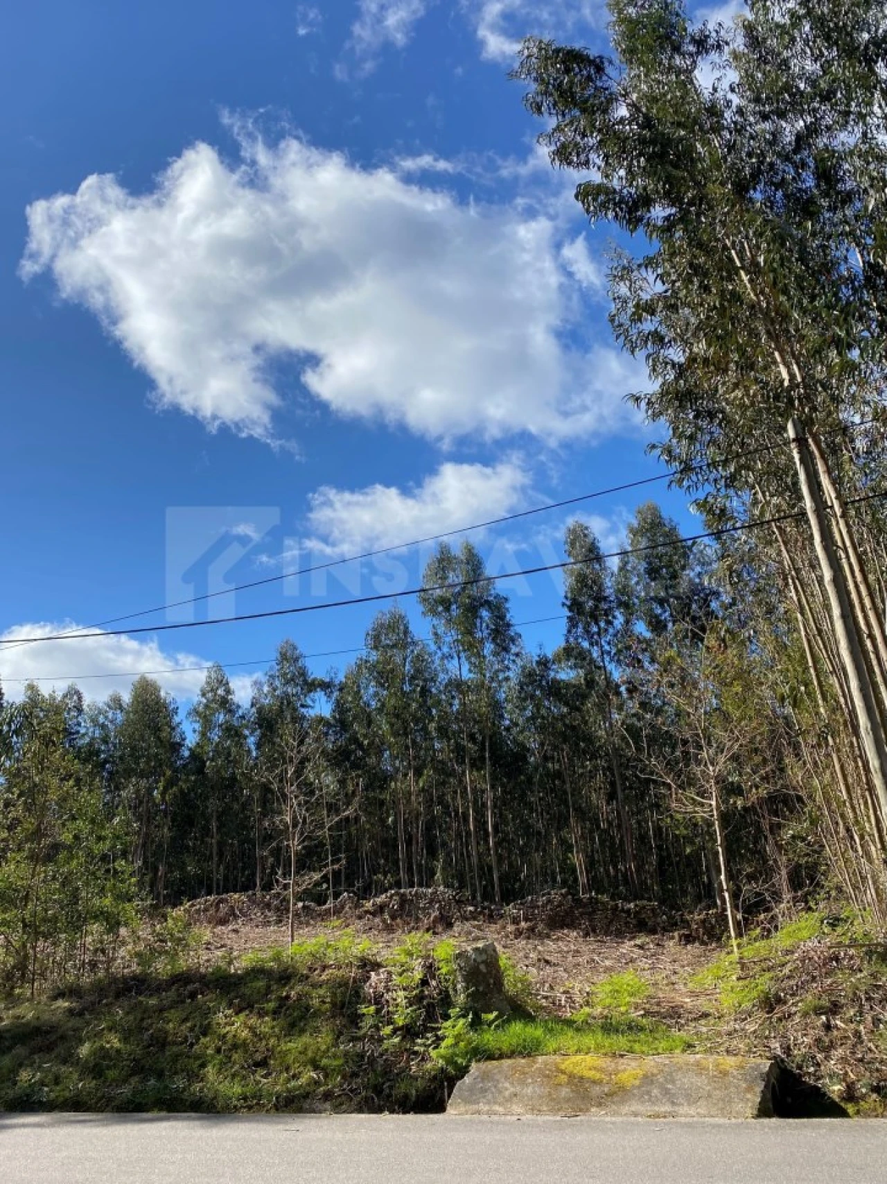 Terreno para Venda em Moledo e Cristelo Foto 3