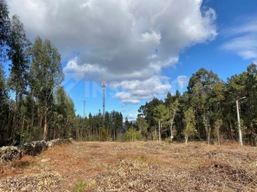 Terreno para Venda em Moledo e Cristelo