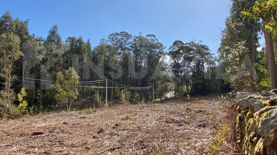 Terreno para Venda em Moledo e Cristelo