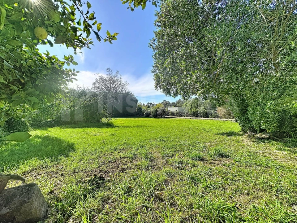 Moradia T3 para Venda em Argela Foto 38