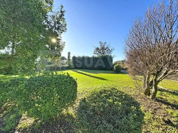 Moradia T3 para Venda em Argela