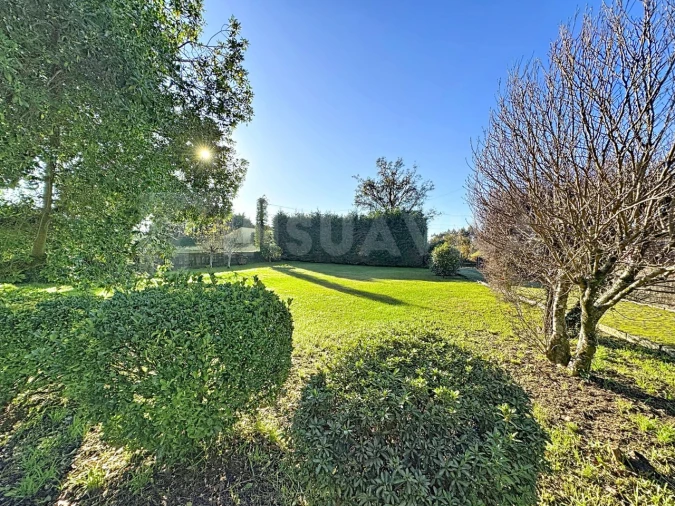 Moradia T3 para Venda em Argela Foto 35