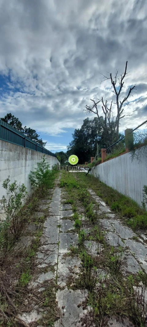 Moradia T4 para Venda em Montargil