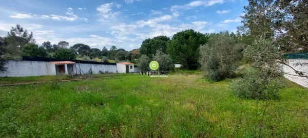 Moradia T4 para Venda em Montargil