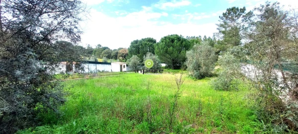 Moradia T4 para Venda em Montargil