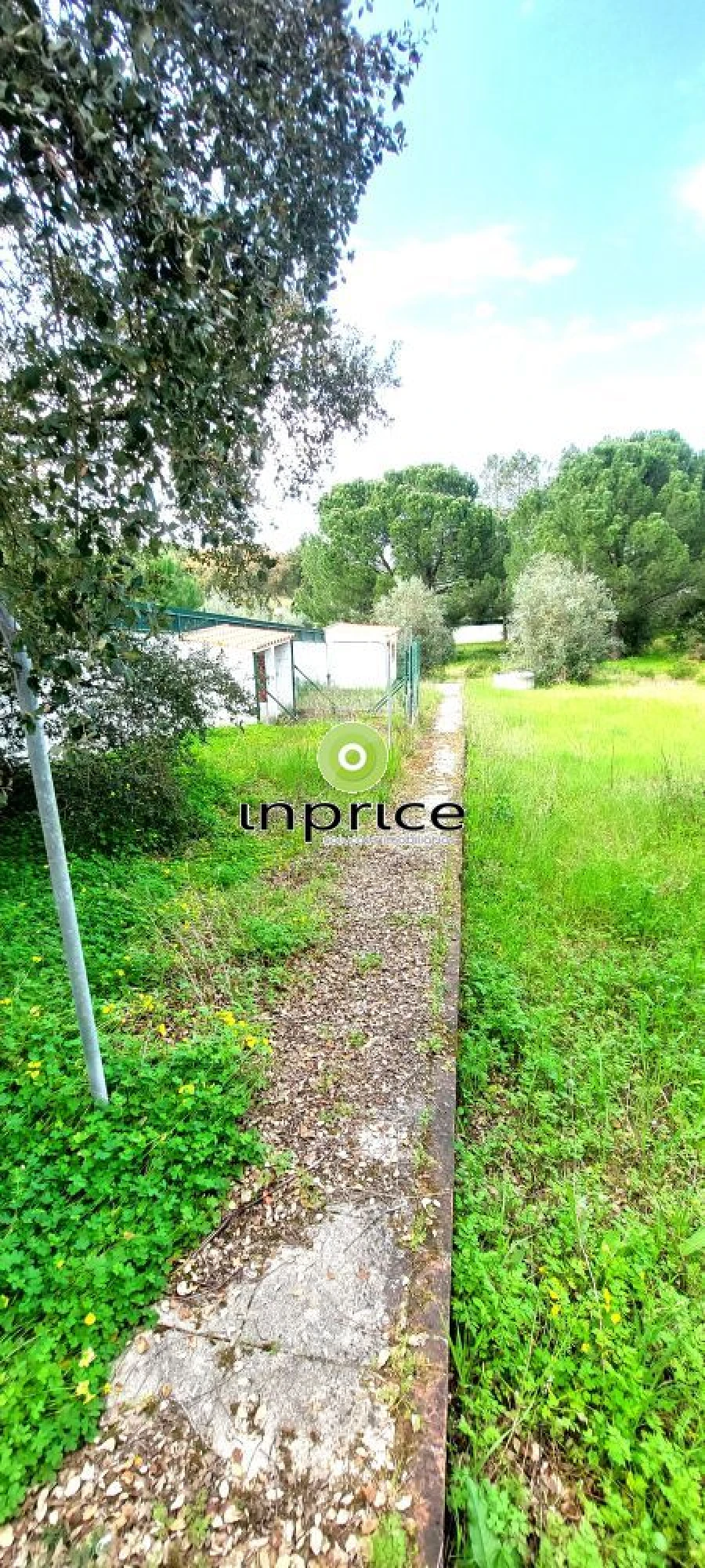 Moradia T4 para Venda em Montargil Foto 10