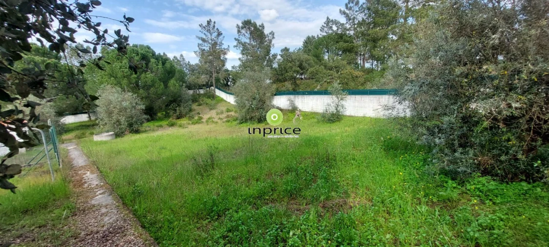 Moradia T4 para Venda em Montargil Foto 11