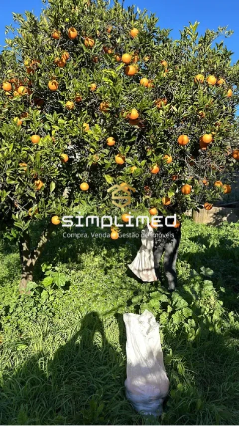 Moradia T0 para Venda em Monforte da Beira