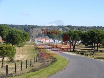 Terreno para Venda em Torrão