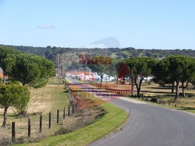 Terreno para Venda em Torrão Foto 4