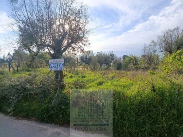 Terreno para Venda em Seixo da Beira