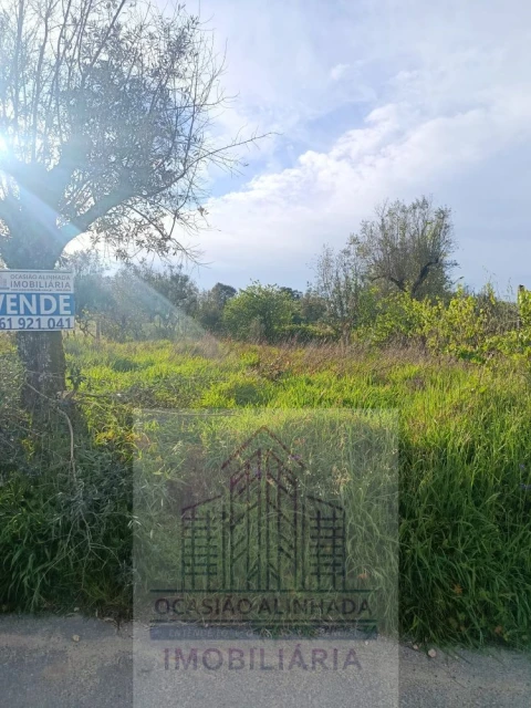 Terreno para Venda em Seixo da Beira
