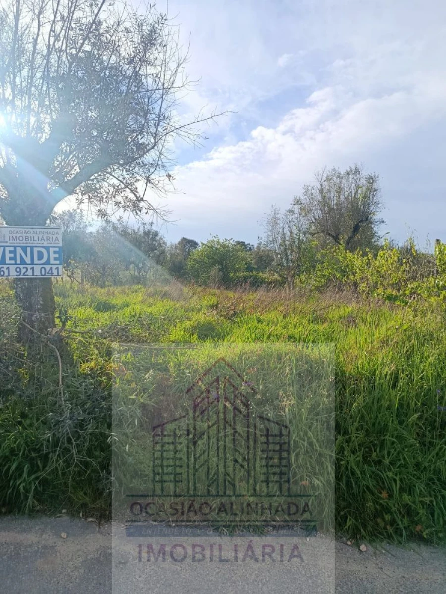 Terreno para Venda em Seixo da Beira Foto 5