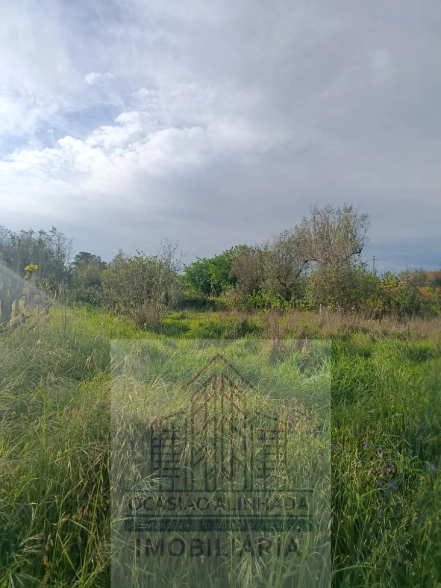 Terreno para Venda em Seixo da Beira Foto 6
