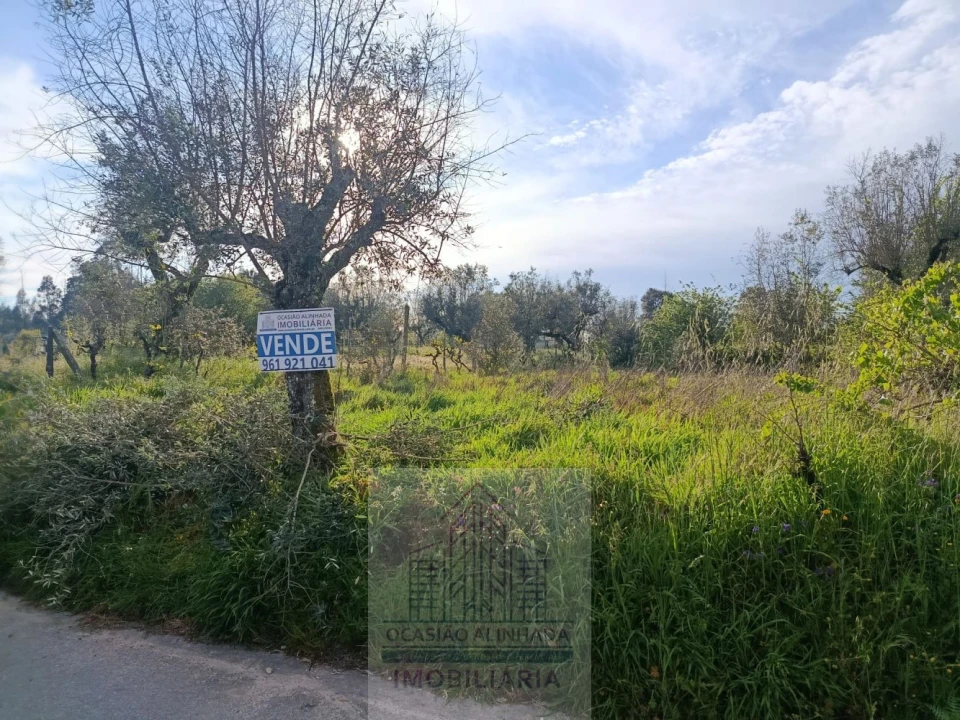 Terreno para Venda em Seixo da Beira Foto 1