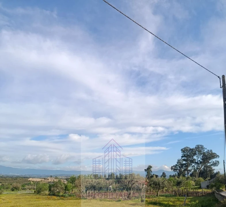 Terreno para Venda em Seixo da Beira Foto 2