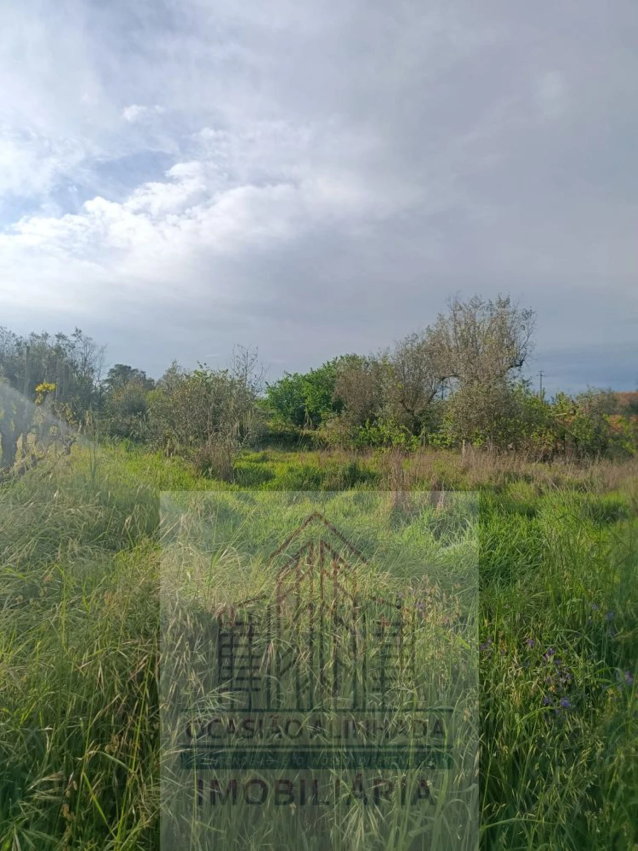 Terreno para Venda em Seixo da Beira Foto 6
