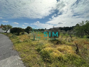 Terreno para Venda em Alcoentre