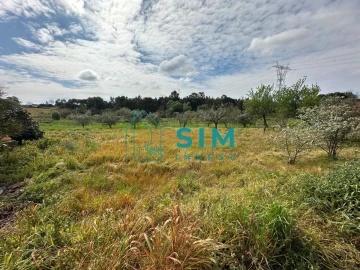 Terreno para Venda em Alcoentre