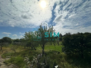 Terreno para Venda em Alcoentre