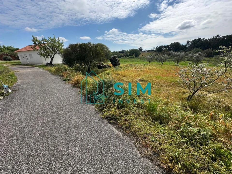 Terreno para Venda em Alcoentre Foto 4