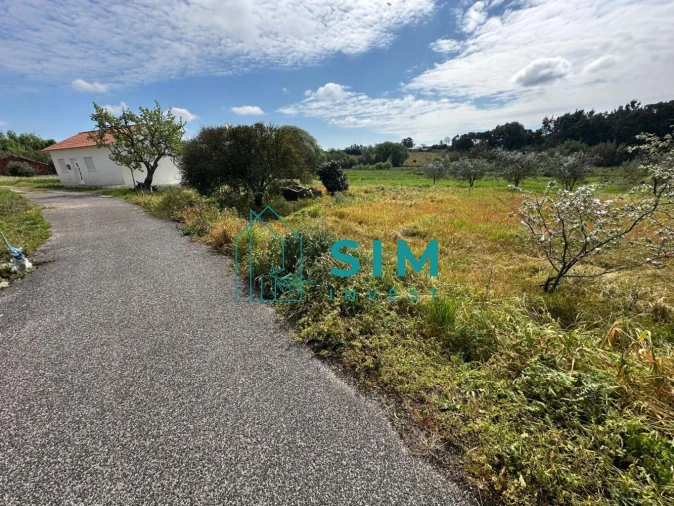 Terreno para Venda em Alcoentre Foto 4