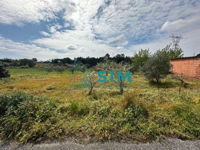 Terreno para Venda em Alcoentre Foto 5