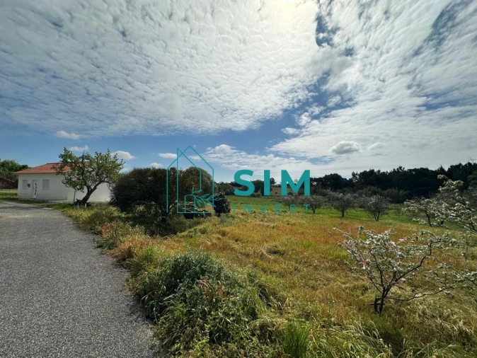 Terreno para Venda em Alcoentre Foto 3