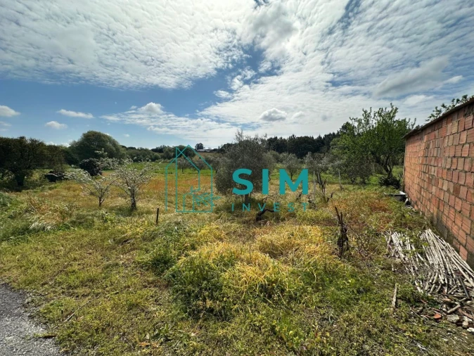 Terreno para Venda em Alcoentre Foto 6