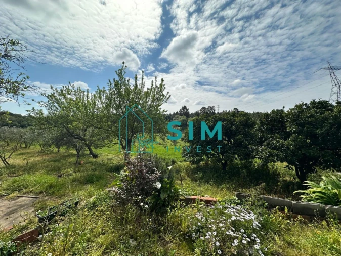 Terreno para Venda em Alcoentre Foto 8