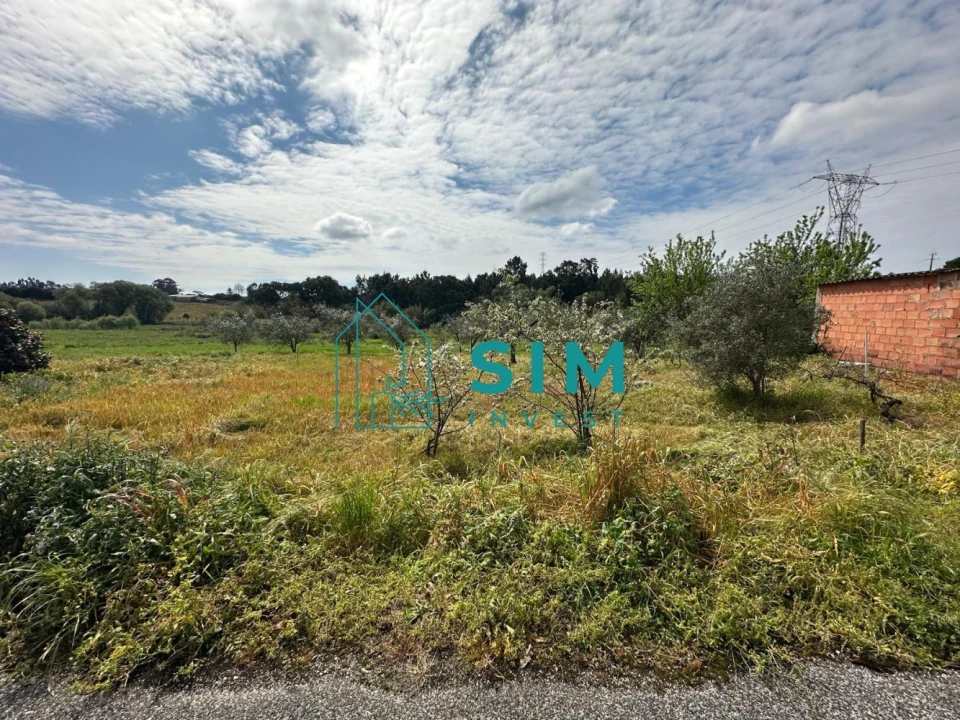 Terreno para Venda em Alcoentre Foto 5
