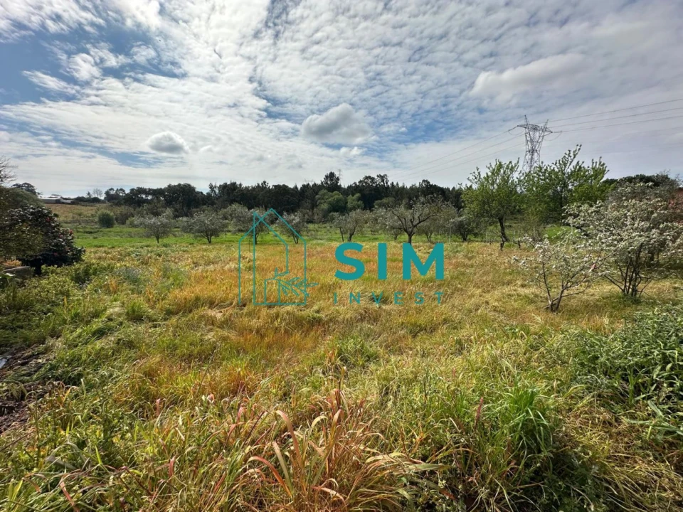 Terreno para Venda em Alcoentre Foto 1