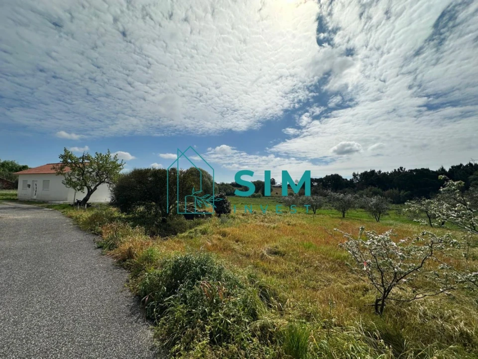 Terreno para Venda em Alcoentre Foto 3