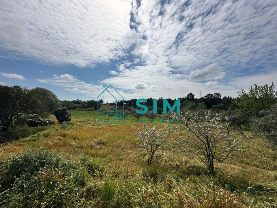 Terreno para Venda em Alcoentre Foto 2