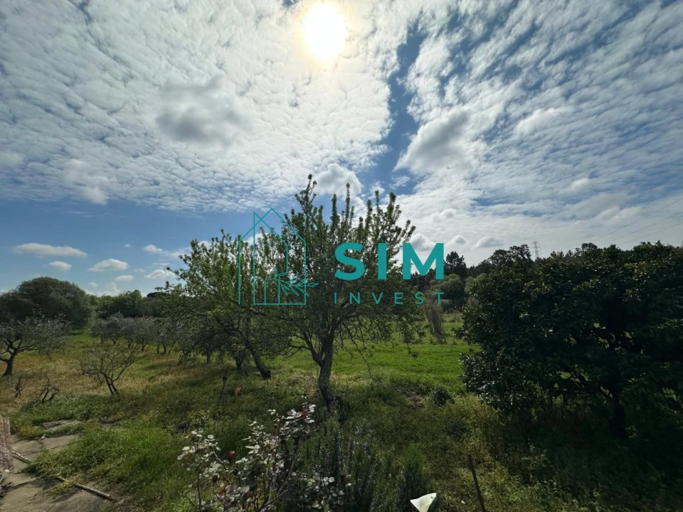 Terreno para Venda em Alcoentre Foto 9