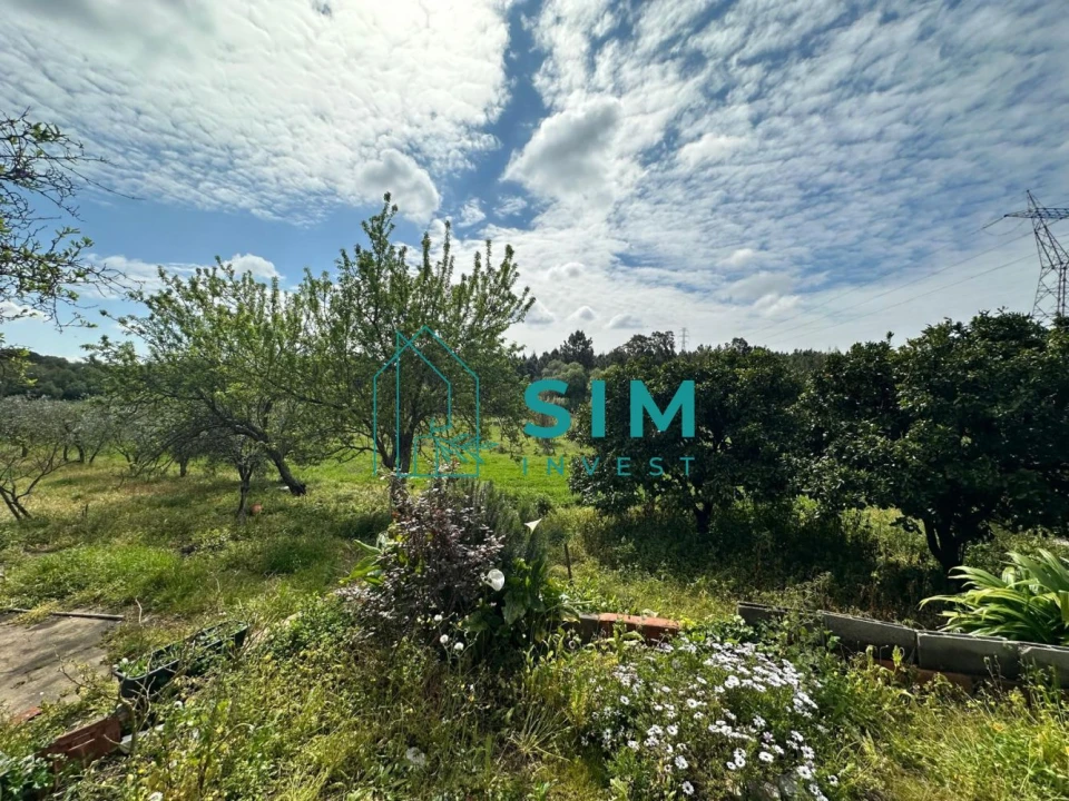 Terreno para Venda em Alcoentre Foto 8