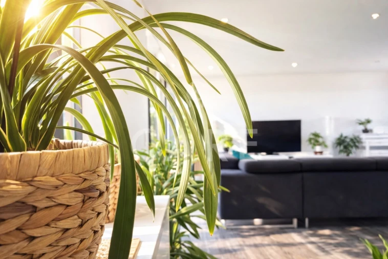Apartamento T5 para Venda em Venteira Foto 14