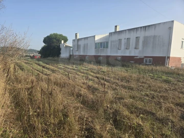 Terreno para Venda em Tornada e Salir do Porto