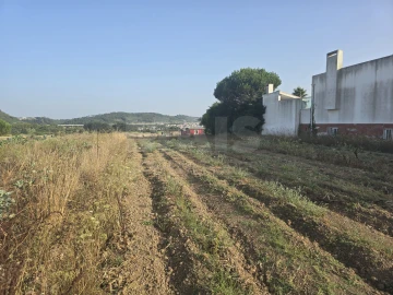 Terreno para Venda em Tornada e Salir do Porto