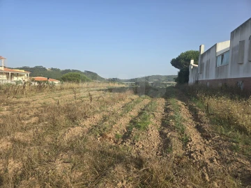 Terreno para Venda em Tornada e Salir do Porto