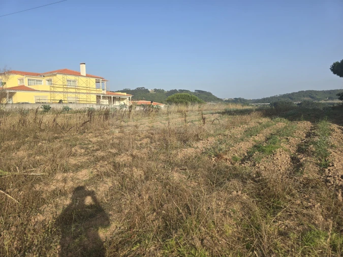 Terreno para Venda em Tornada e Salir do Porto Foto 2