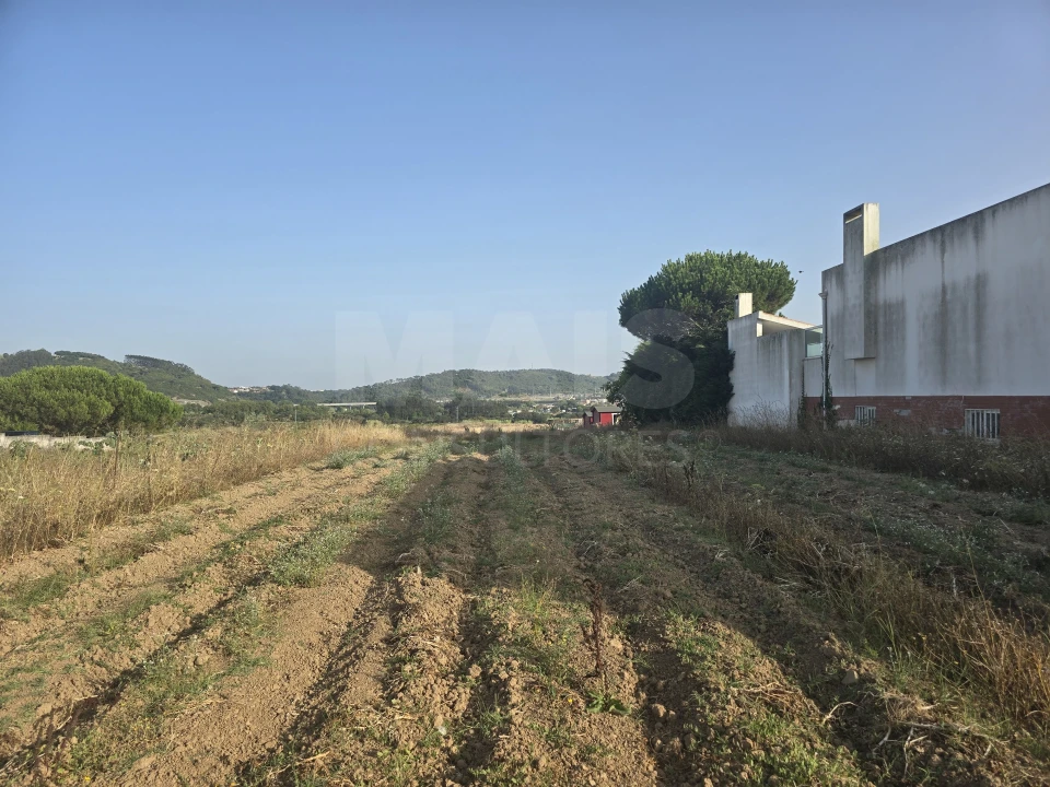 Terreno para Venda em Tornada e Salir do Porto Foto 1