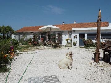 Moradia T2 para Venda em Cela