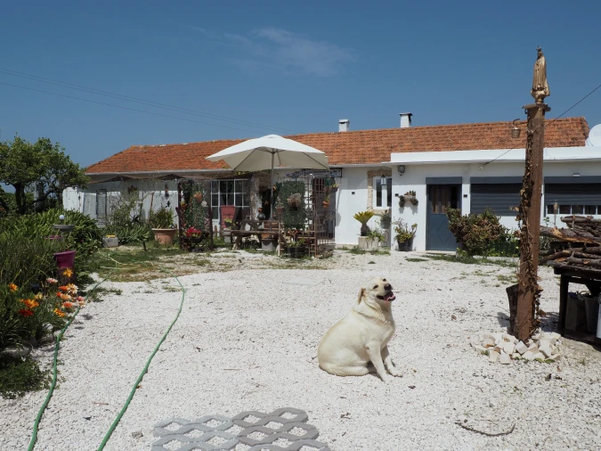 Moradia T2 para Venda em Cela Foto 2