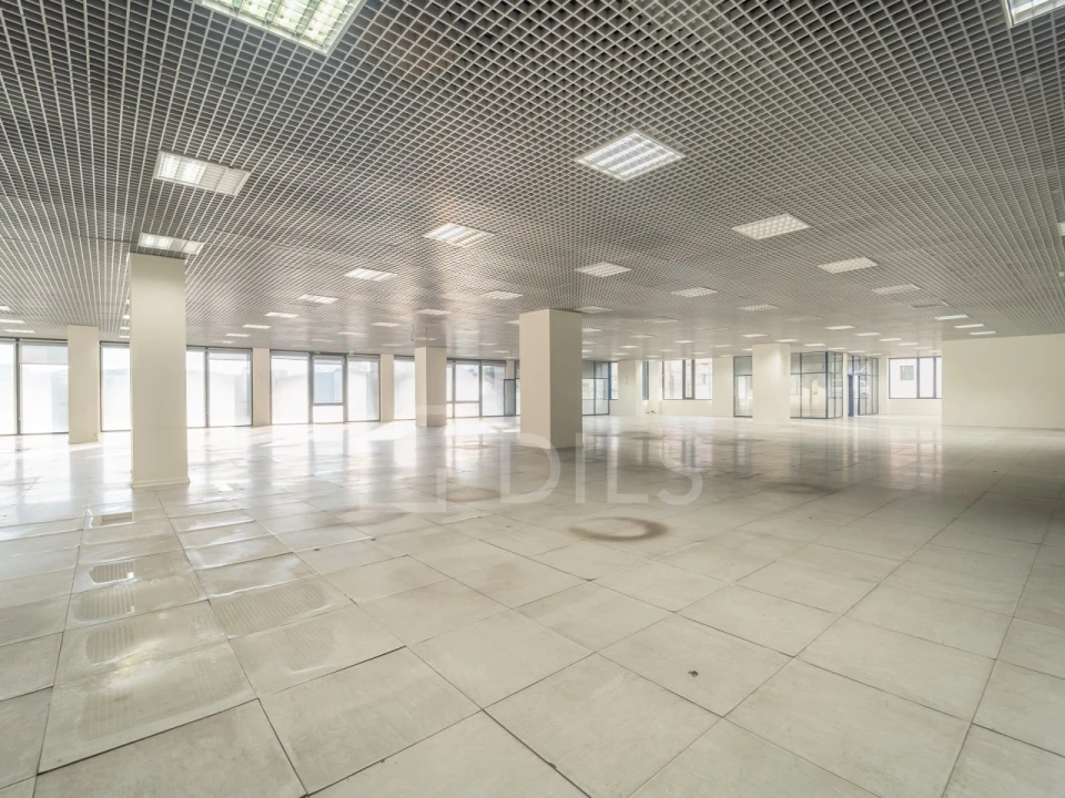 Escritório para Arrendamento em Lordelo do Ouro e Massarelos Foto 3