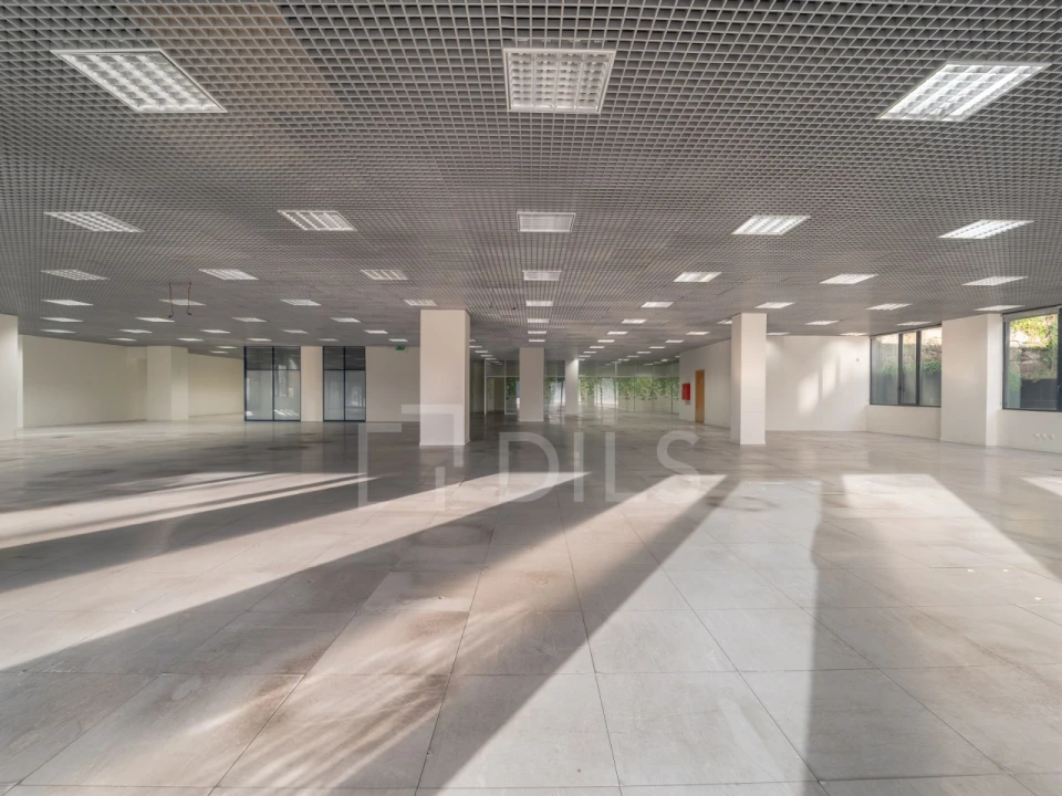 Escritório para Arrendamento em Lordelo do Ouro e Massarelos Foto 5