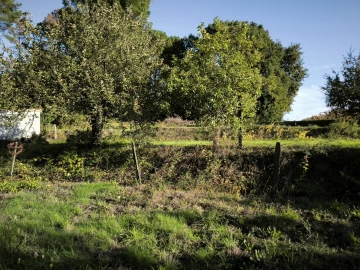 Terreno para Venda em Oliveira do Conde