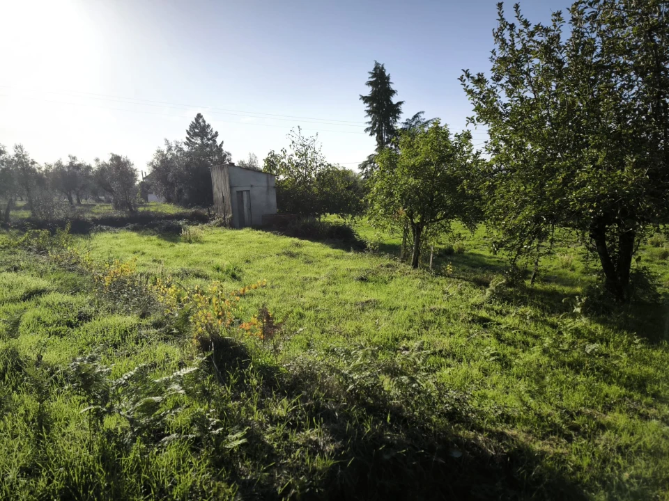 Terreno para Venda em Oliveira do Conde Foto 6